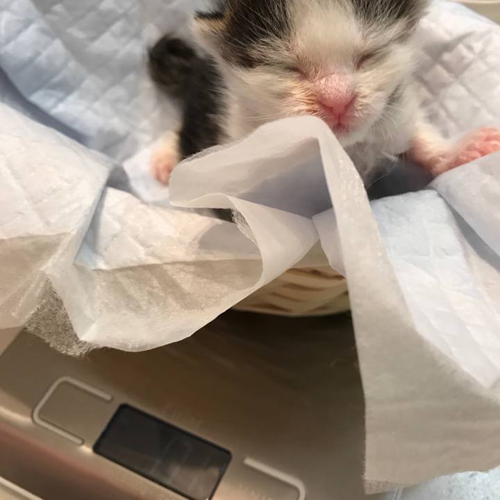 B42d7ff8 9691 4a81 a7ae af5e0742276c