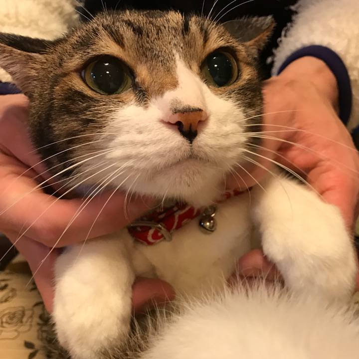 B42e5507 6f94 4f9c a086 6c5b5e227563