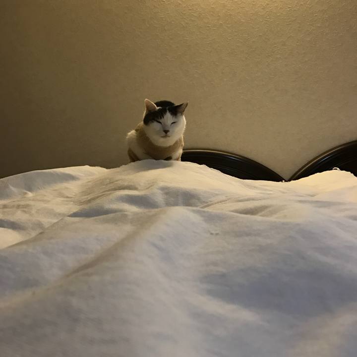 B42e9fe8 1ba6 4b9d bcbb 8f51a47c7920