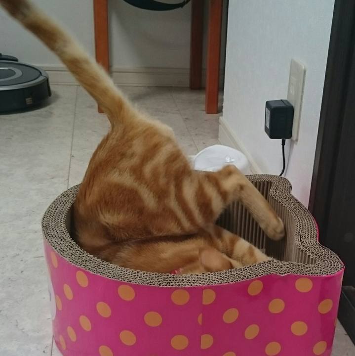 B42ee4e3 d59f 4a15 9743 cb0877b261f0