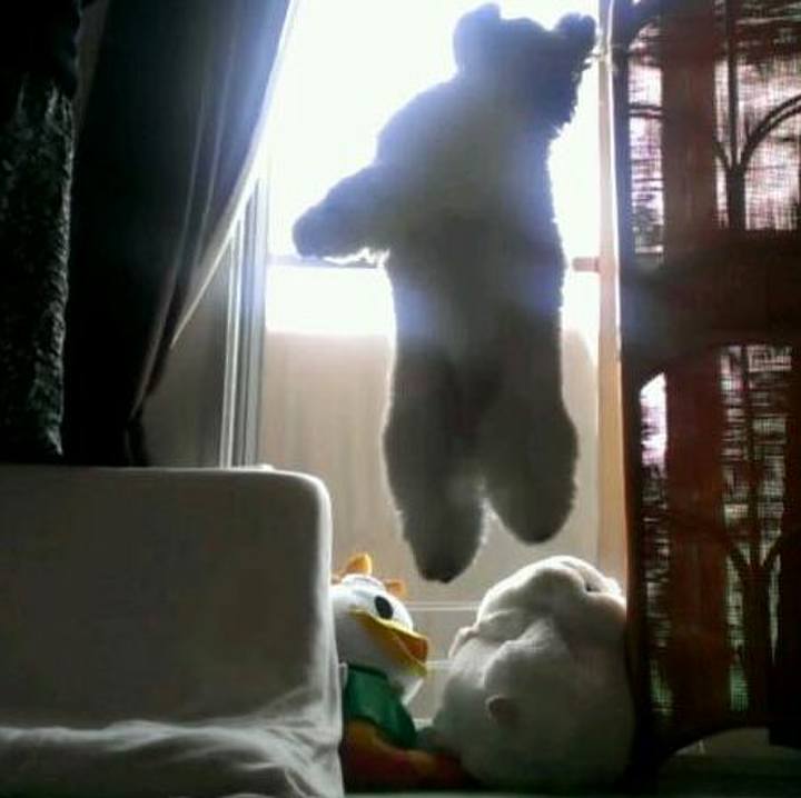 B42f613c 2bd8 4a69 8df3 8853c91a1dab