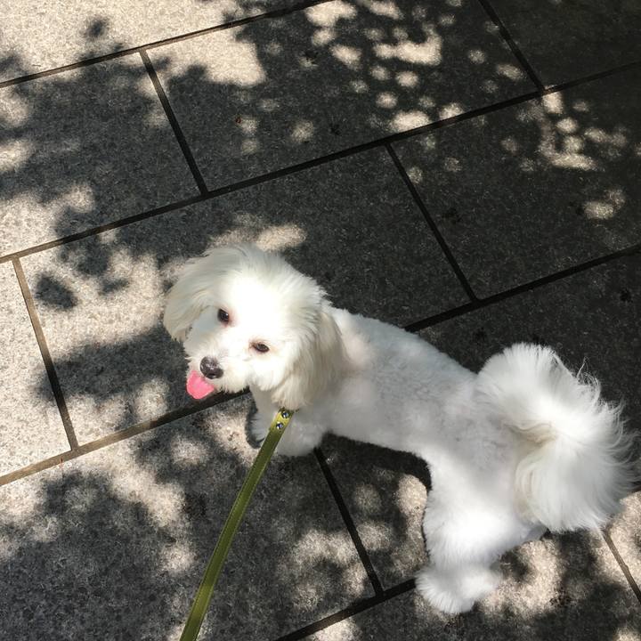 B42f7711 883e 4465 bbd2 258205b91a70