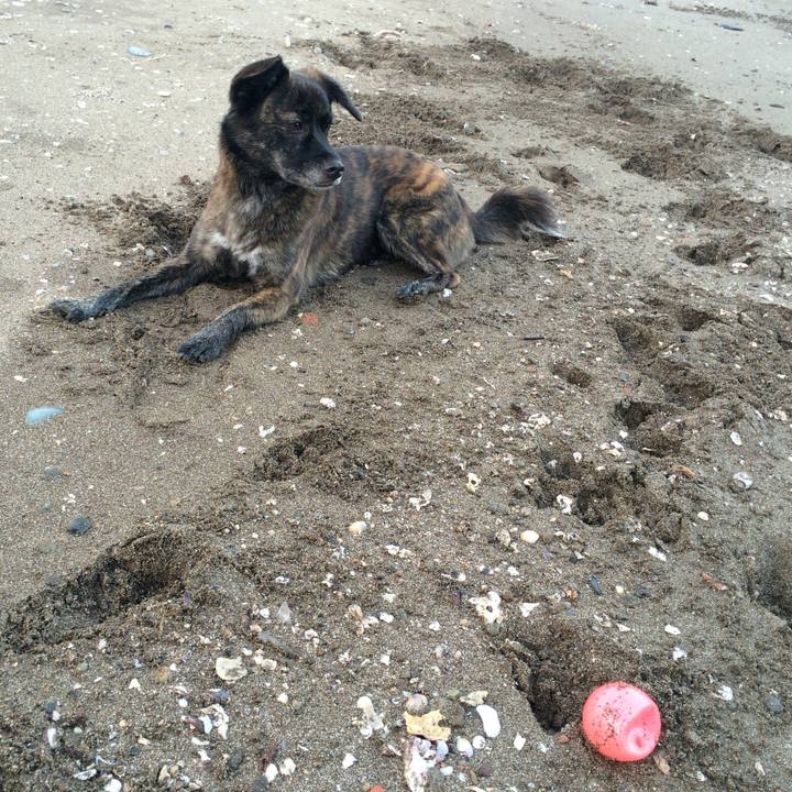 B42f7b60 dfc2 4d3b 87eb 2004e514ffb2