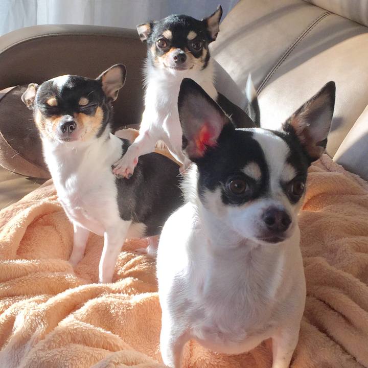 B4302ec7 bc71 4455 8302 7da738301f2c