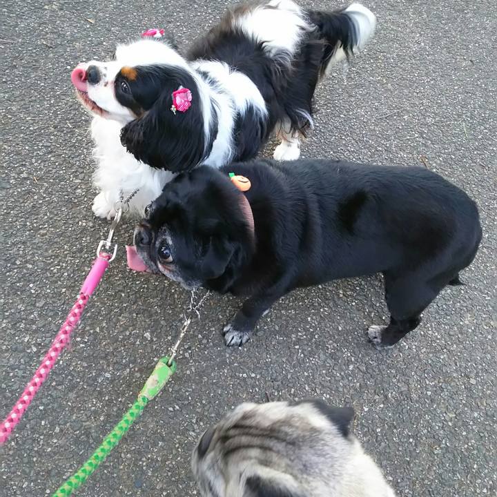 B4305bfb 91e0 4d32 8130 442538655076