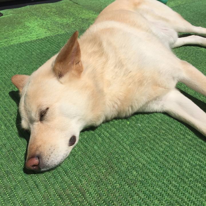 B4305ec1 f121 4d0a 84c2 c2921f81adc6