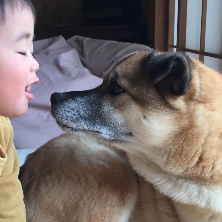 B43132aa 1cec 4fcc b333 0914f9c6671c