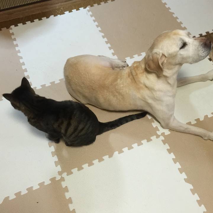 B431c8a5 b015 4ea2 86cf a0f0ecb1bd05