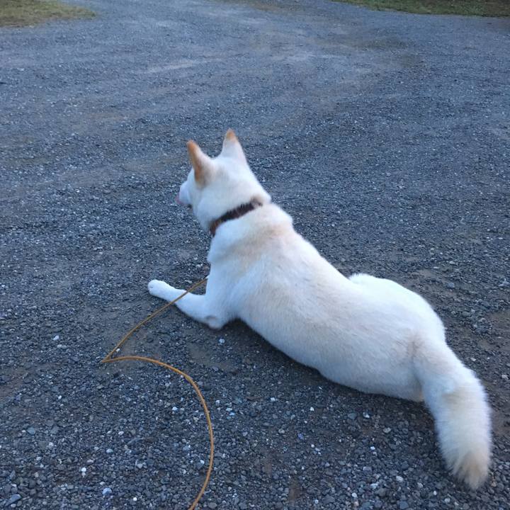 B431f0ff de1e 4a66 95dc bd566ecfc4b0