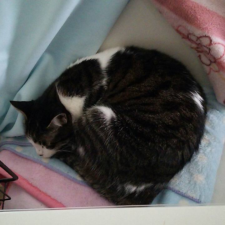 B4326a1f 8f16 4a32 92d7 b9e3c309b355