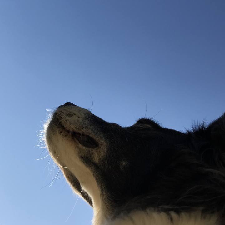 B432cc49 efb1 44f3 826a e2de33ca4949