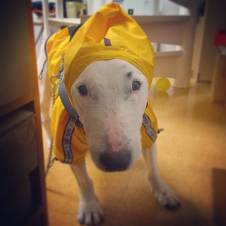 B432e3d7 a58c 4bc7 b02d c3e22fa0dce1