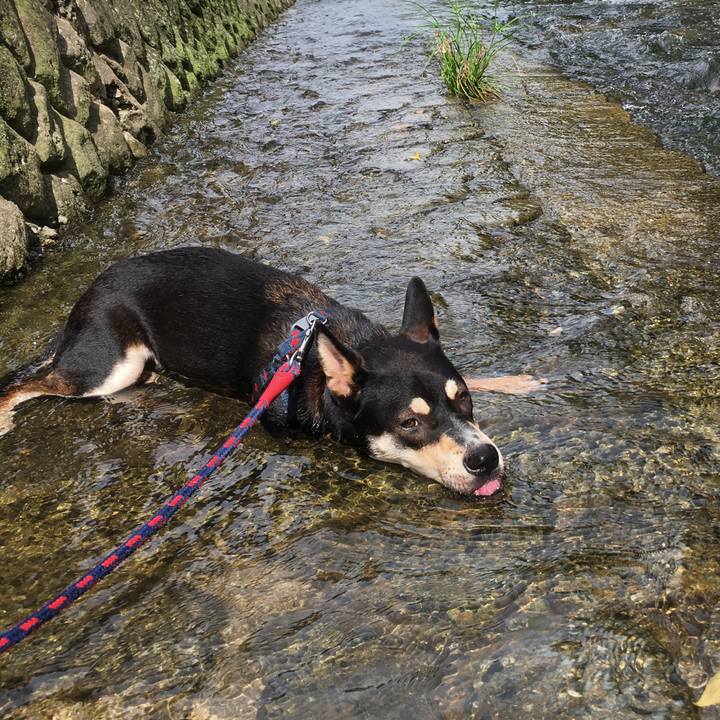 B43312bc fde6 456a b0a4 57f7e5b90596