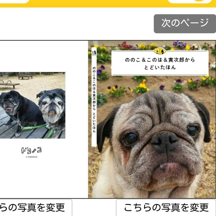 B433ed7f 6511 4f67 8608 e319a0eac81f