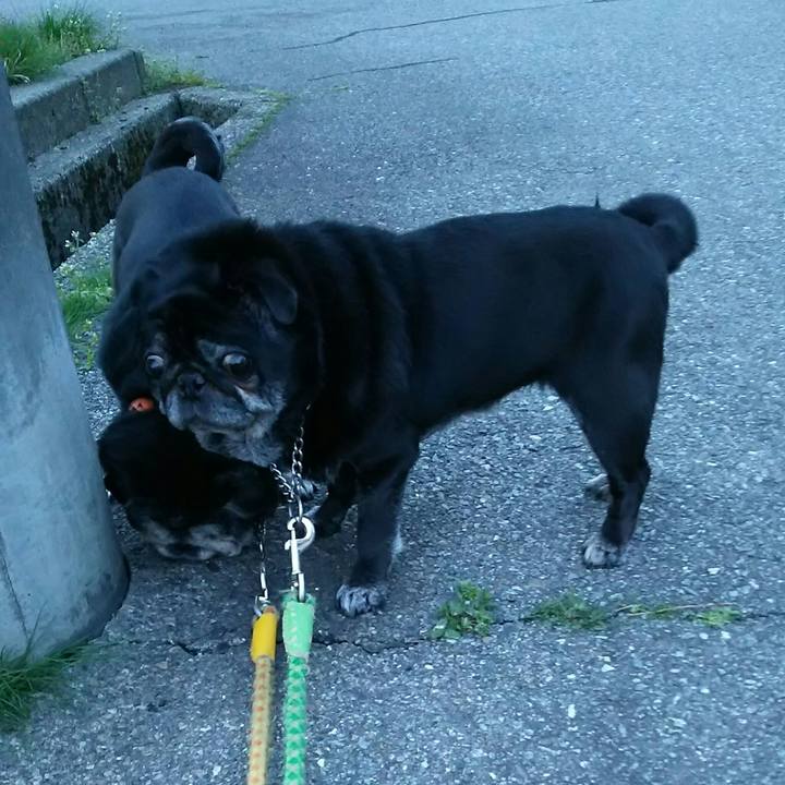 B4345597 831c 4efe a975 b598af722f18