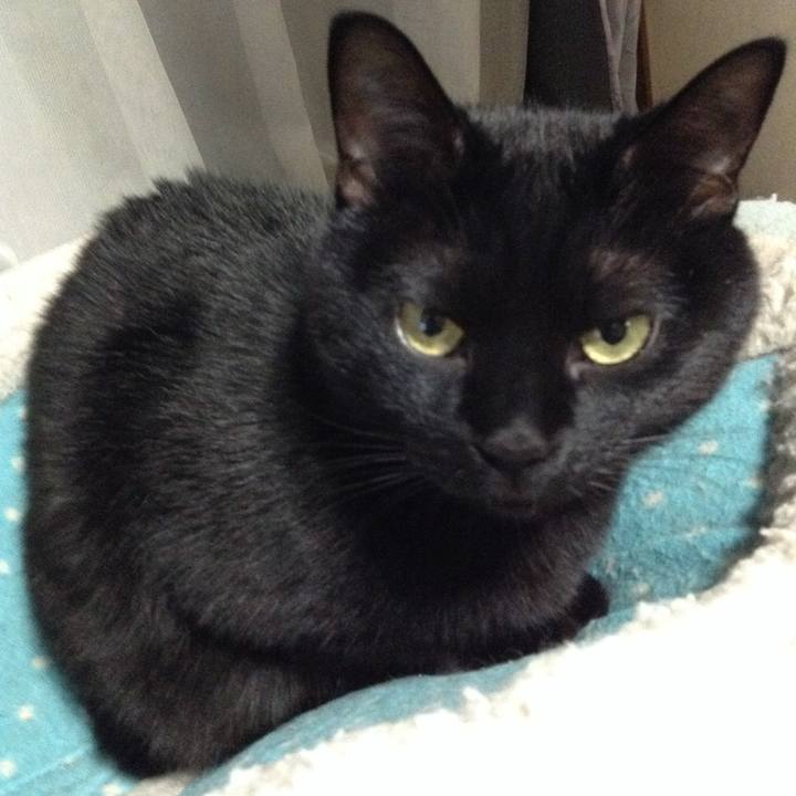 B43532b3 13e1 43d9 8743 c3af443c80d6