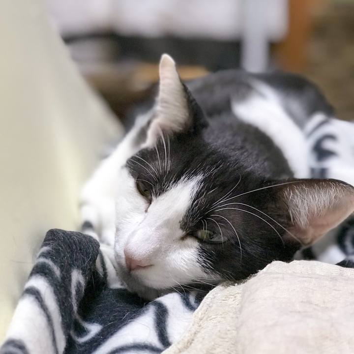 B435a63f 0706 46e7 9248 943e66604597