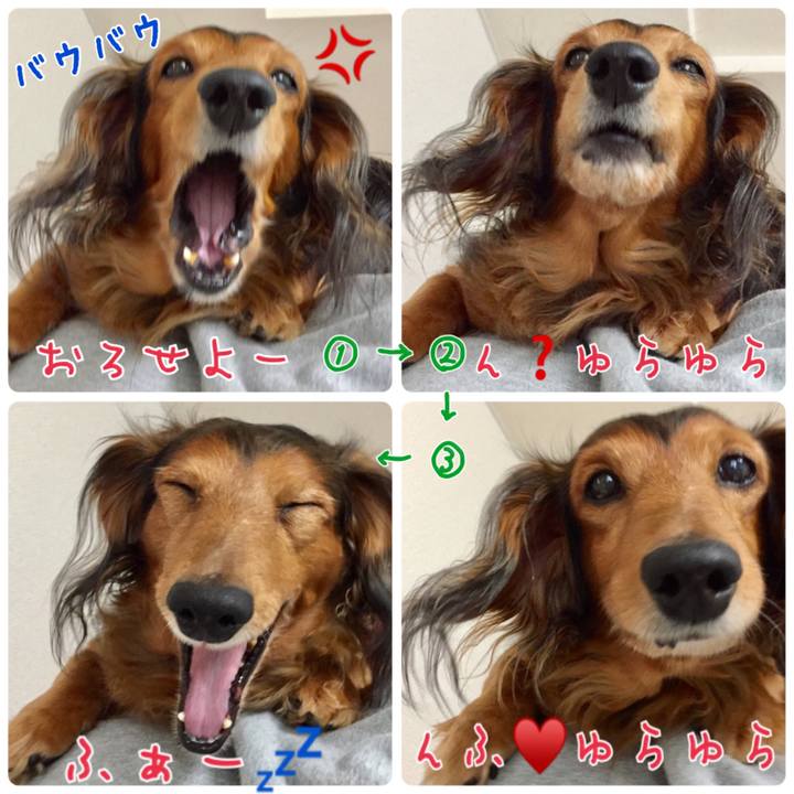 B435b27c 24f8 4a97 afbb 831b3062dd50