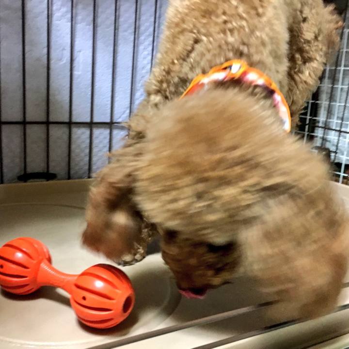 B435e6fb d967 42eb bf2d 056b9aff8fd2