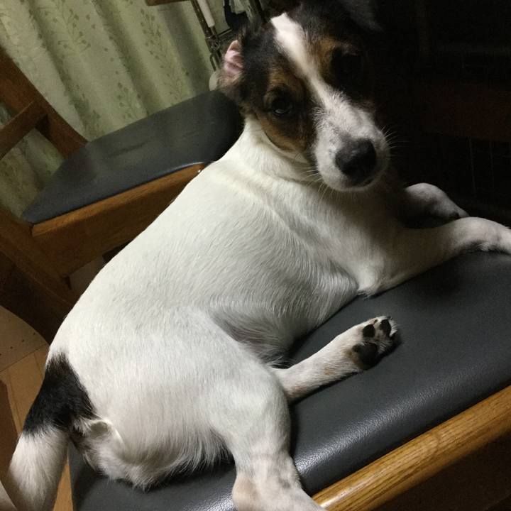 B436033e 70f2 48c1 86ac 56cd64bd5375