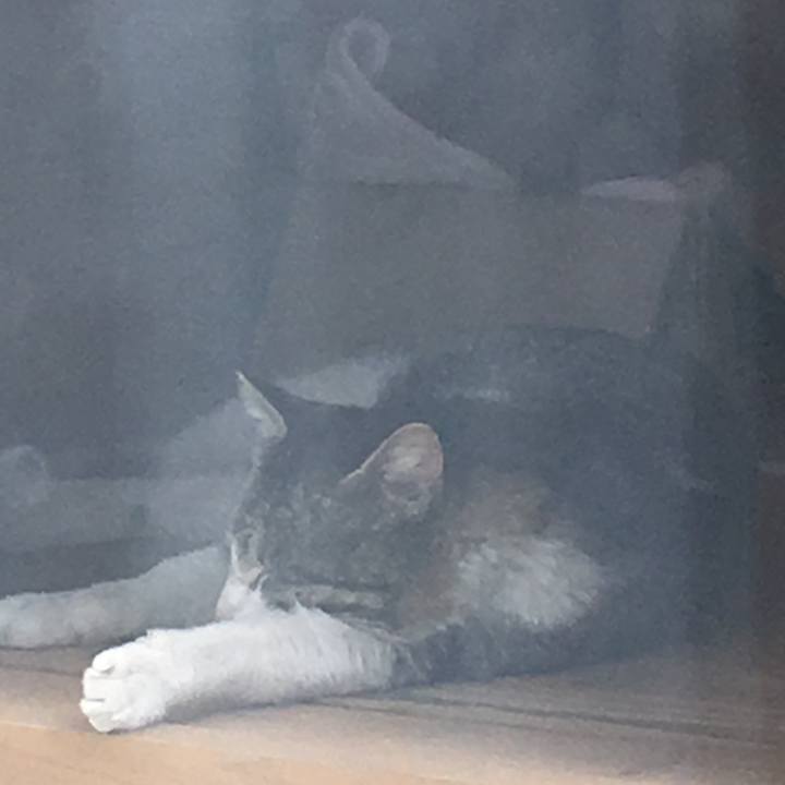 B4366f47 db99 46bf 85c8 6630ac5563f6