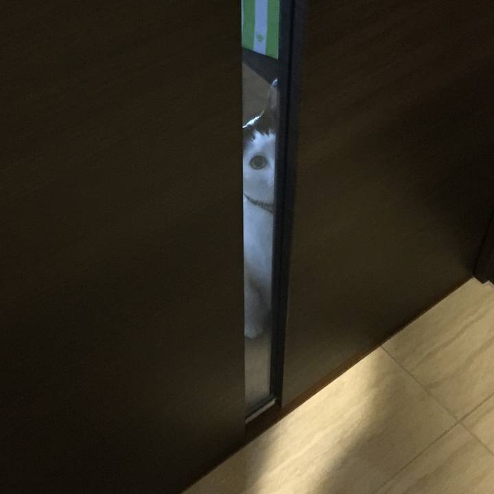 B43688cb 3841 4970 9c69 a63d5ab2e909