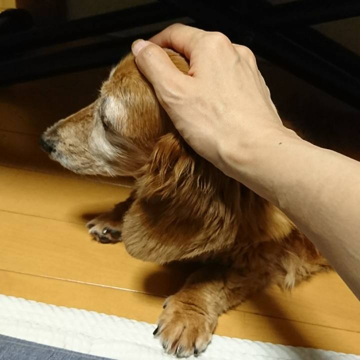 B436ca05 95c0 4355 87a1 3c55db668554