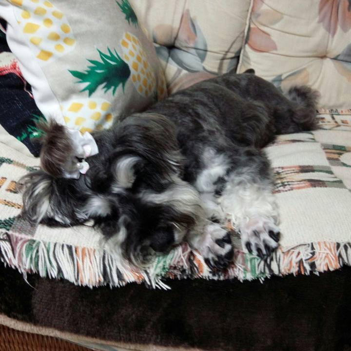 B4371e90 f9fc 471b 988b ce7dbd114ed7