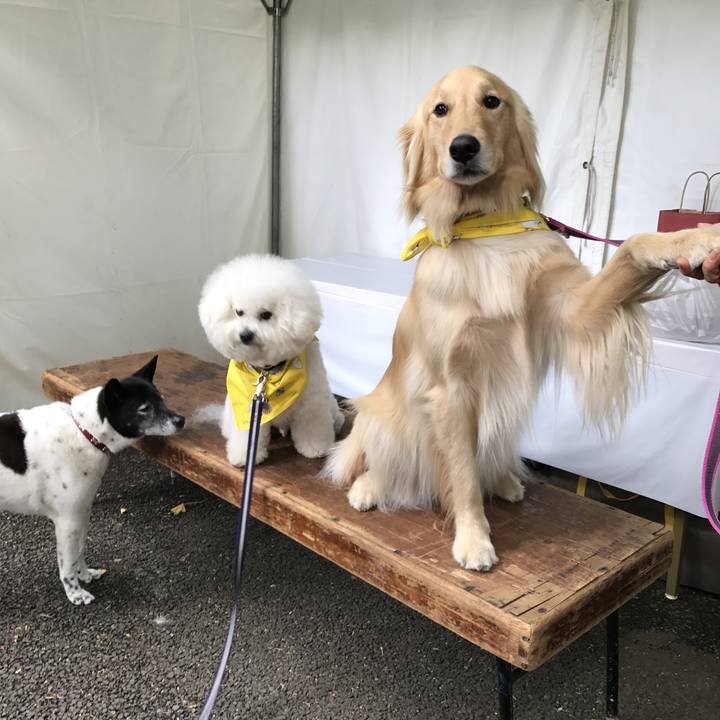 B4377655 db16 4838 a0ac 528c6e73c9f2