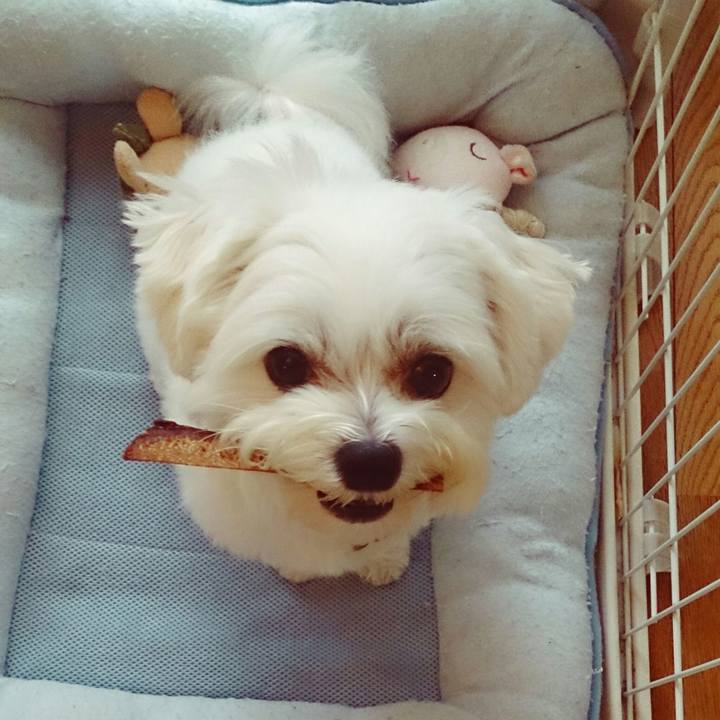 B437ef8f 352e 4181 a738 122ad4043fab