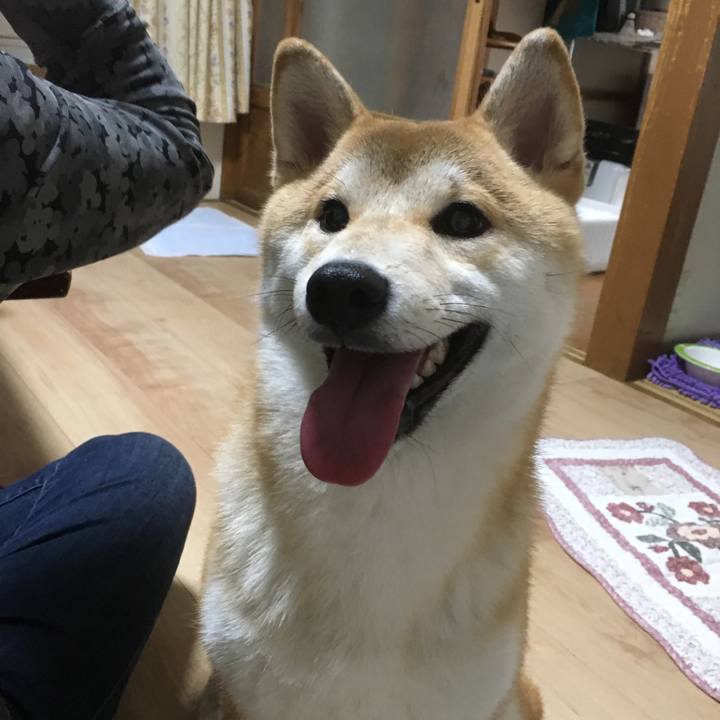 B4381461 1f5c 4fd5 9ece e77a300a6c8d