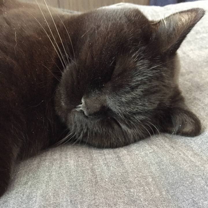 B43858c9 7631 43a4 a3f1 71e259237f06