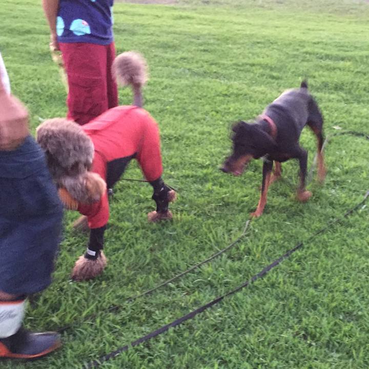 B43862ee 6f1e 4242 b989 0bccec87a37f