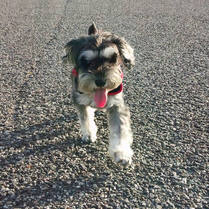 B4391511 890b 4391 9c0a ce3b1d53dd06