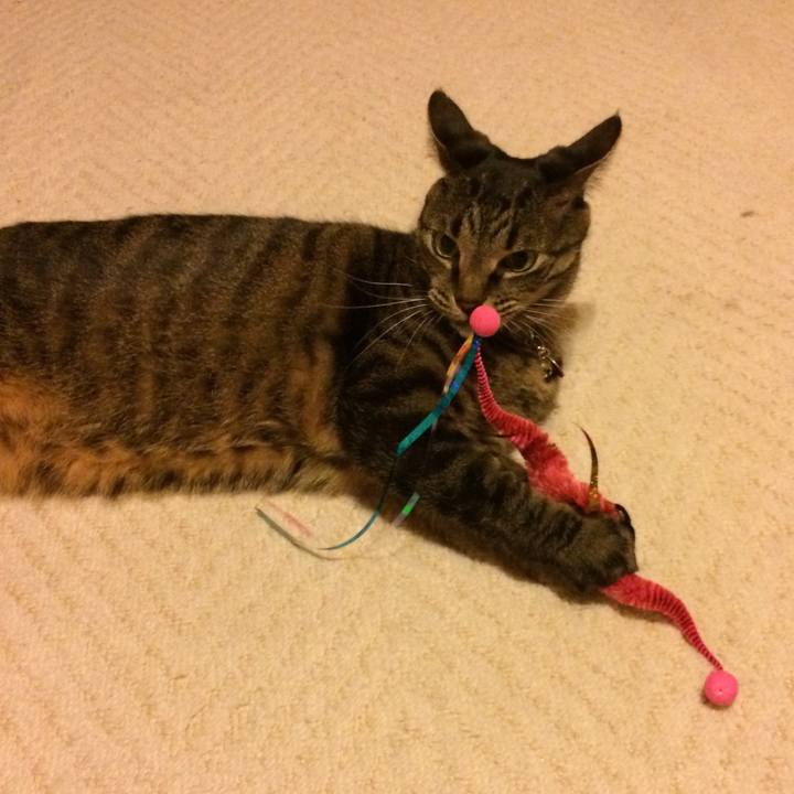 B4394fee 5250 48e7 9b3d 805cfb8ff7c2