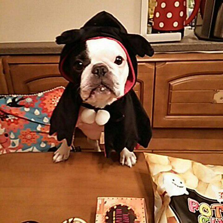 B4399e43 1f19 48a6 9e15 40e647a61b40