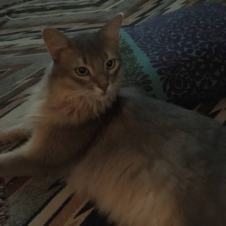 B43abcb8 d6c1 4da4 b968 8663889c7451