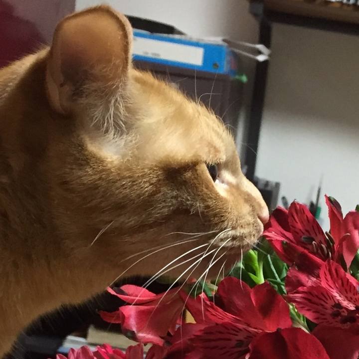 B43b3cef 0185 44bf 9d3e 22f58457e353