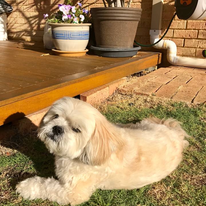 B43b7e7f 6231 43b8 b118 24cc91f5a786