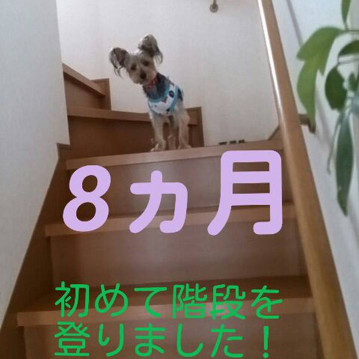 B43bac83 2a8c 45af 8420 f2a2f5f2743b