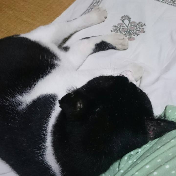 B43bc8af cf24 4da2 9e27 ea10a8572379