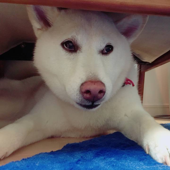 B43c01d5 c706 420e af35 f8d16cc6be04