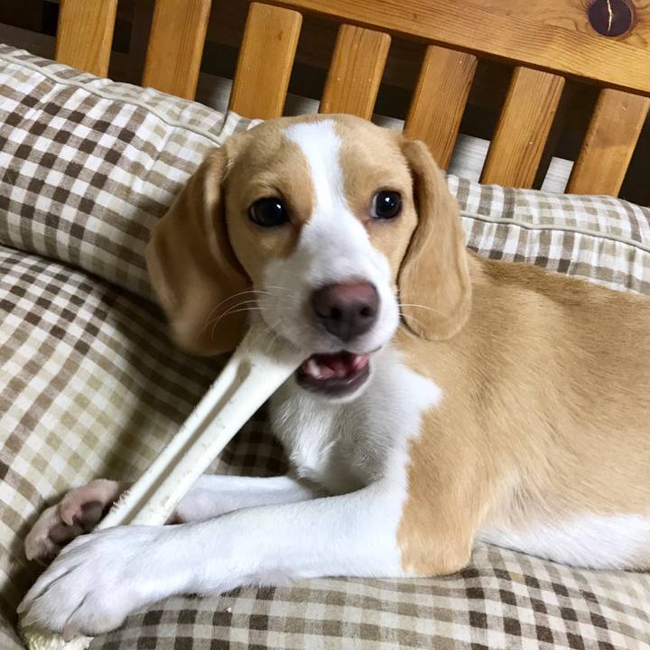 B43c471a 7ba3 4db0 bf1c 815a37cd071f