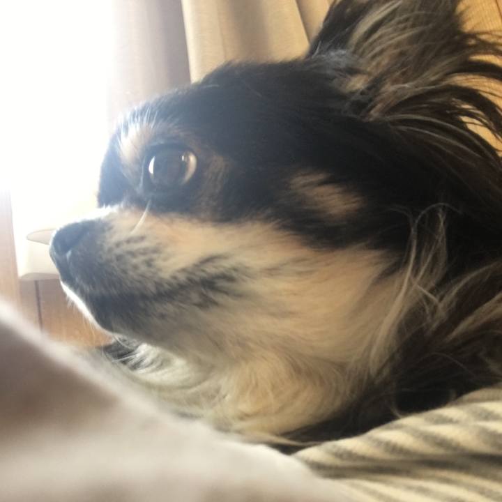 B43c9d47 1a95 41d2 b6c4 73c1c9c66564