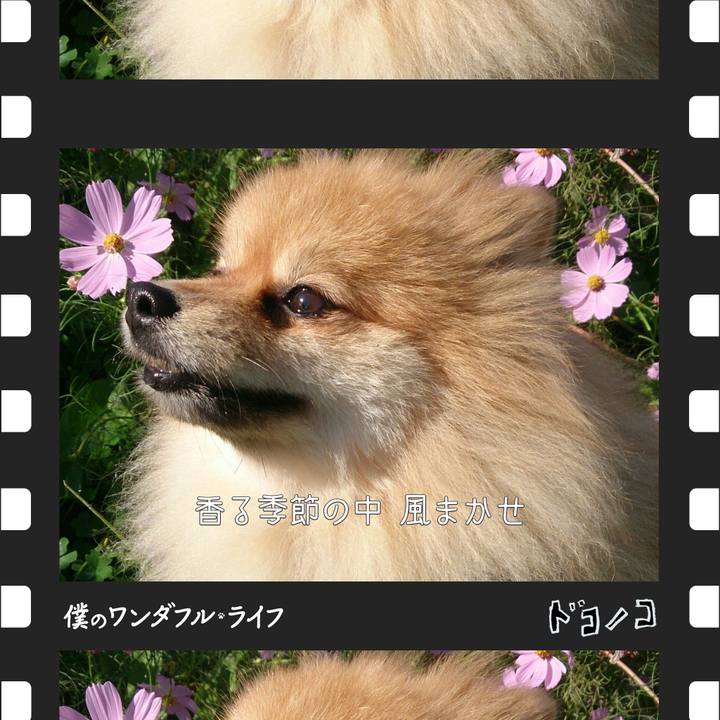 B43ce386 4cd3 4bea 95b6 5bc0a9772dda