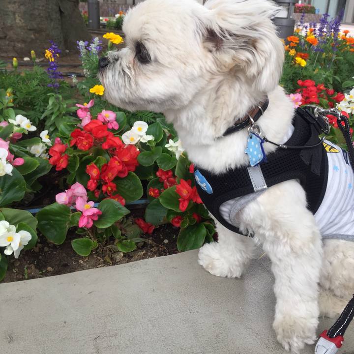 B43cea32 8110 4444 981a 2602271c4b9b