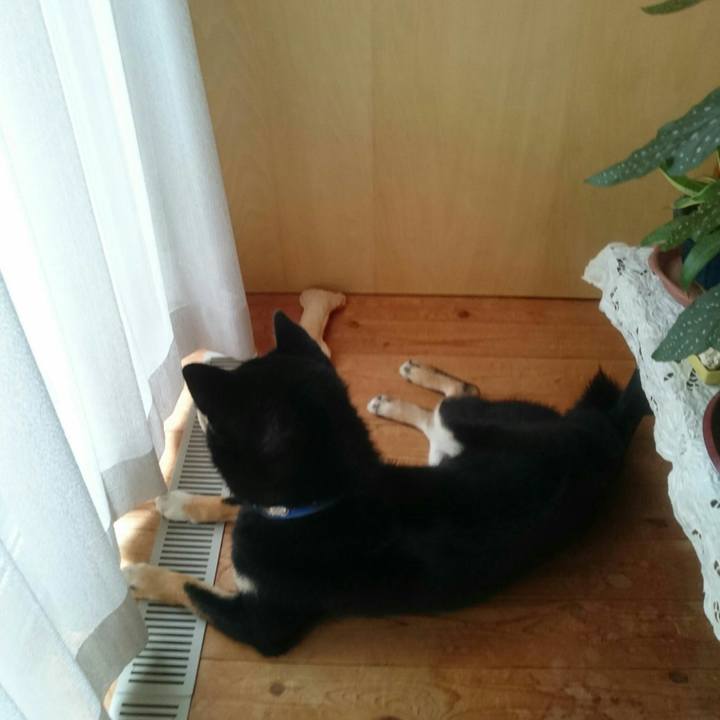 B43cf4f1 848a 492b bd53 840ad360ab17