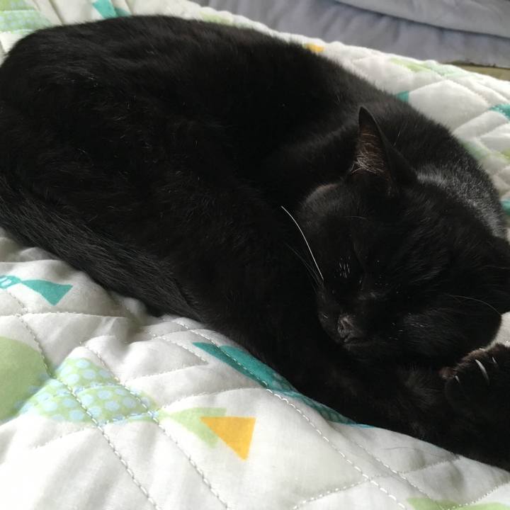 B43d9b7c 5bcb 464a 99f0 86b68bb62723