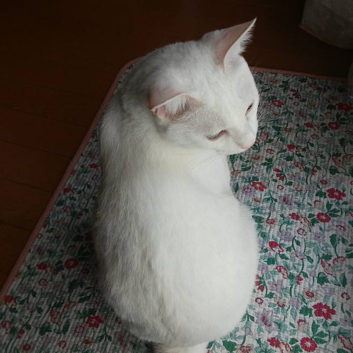 B43e26e5 e2ad 4dcf ae5f bf671a8ddcbf