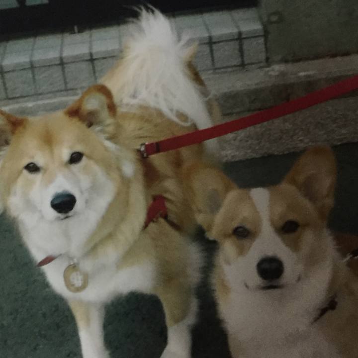 B43e8e3b e84e 4b7c a38c c5568e561adb